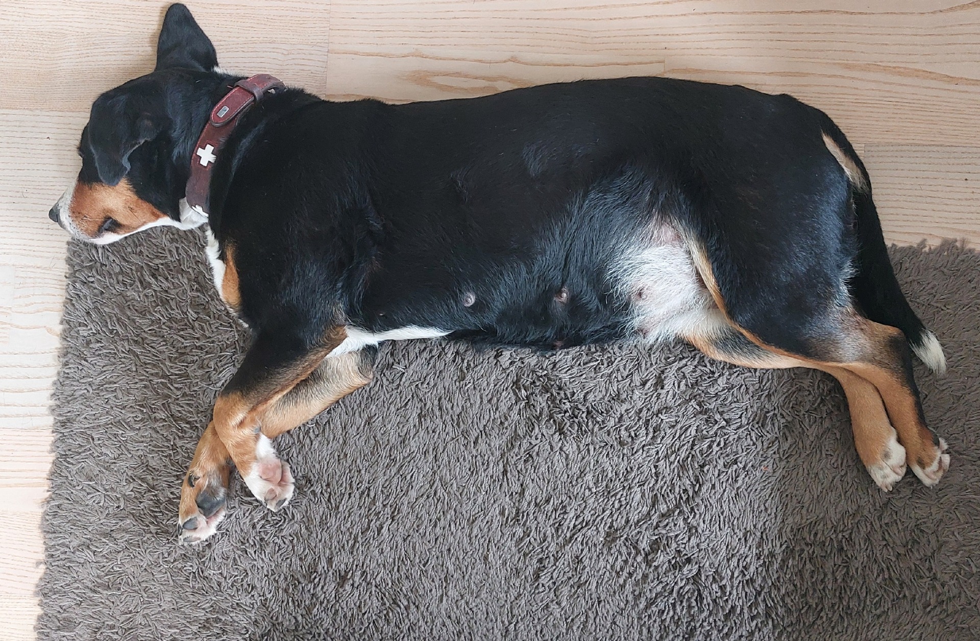 43.den - děloha zabírá 2/3 vnitřní dutiny břišní, pravidelný odpočinek je potřeba.🤷‍♀️😴