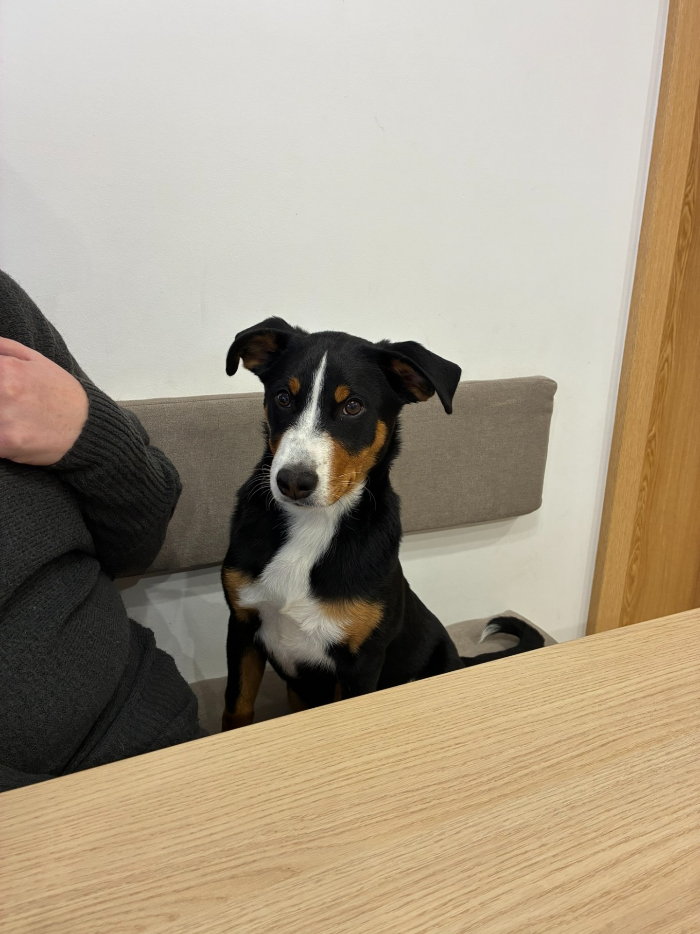 1.11.2025 na návštěvě u Aidy, už je to velká applí slečna